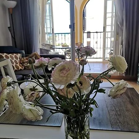 Casa Cozy * Τορεβιέχα