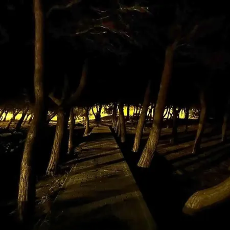 Διαμέρισμα Casa Cozy Τορεβιέχα